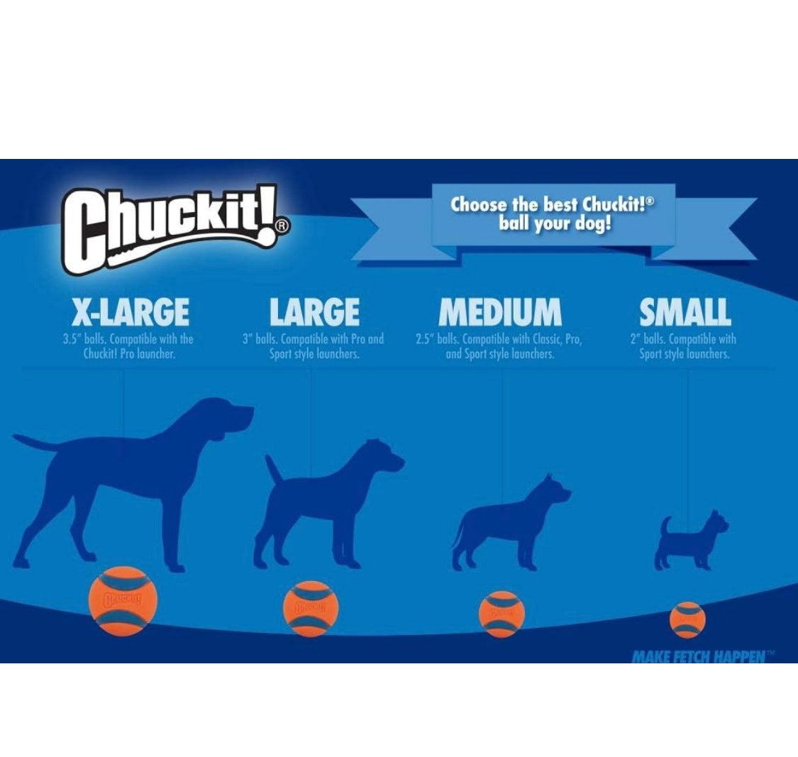 Chuckit! Medium Rebounce Ball 2.5", 2 Pack, Blues & Purples (20320)