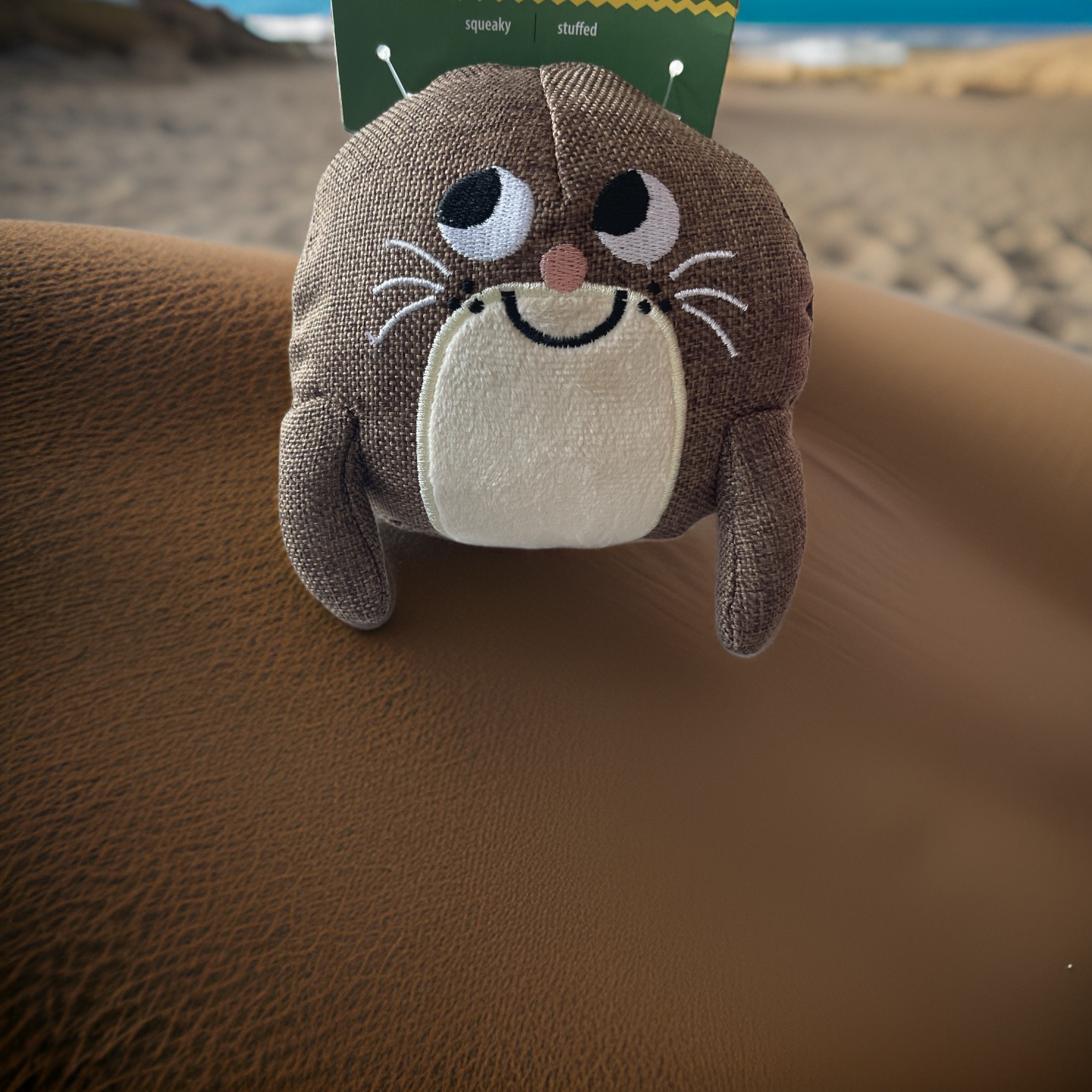 bubble buds squeaky and stuffed otter